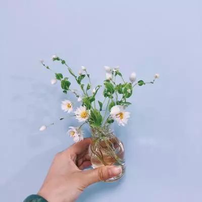 传说破晓手游